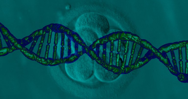 Those CRISPR Baby Experiments Were Just Banned By The Chinese Government