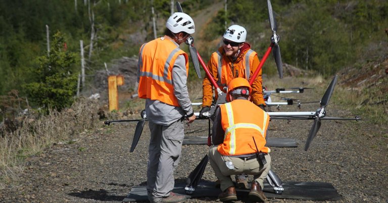 Seattle-based startup DroneSeed uses swarms of drones powered by artificial intelligence to plant trees in areas devastated by wildfires.