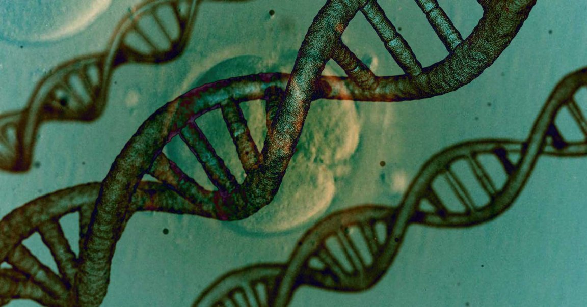 Upon hearing the news that a child with a CRISPR-altered genome was born a few weeks ago, genetics researchers around the world condemned the experiment.