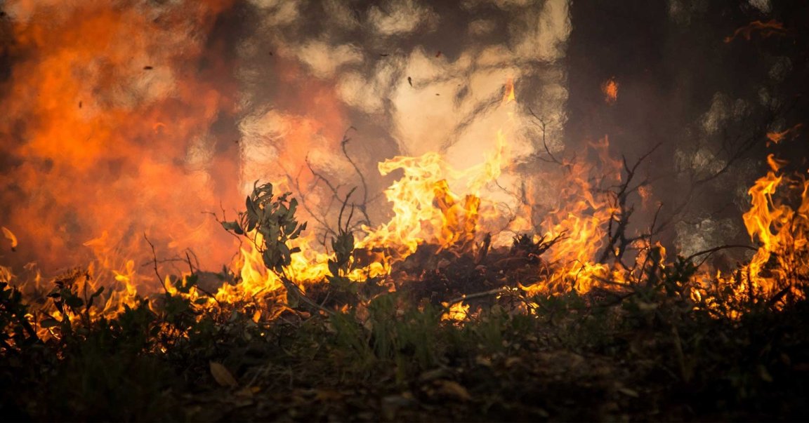 Tesla developed bioweapon defense mode to help drivers in the event of an attack, but it's also helping them breathe during California's wildfires.