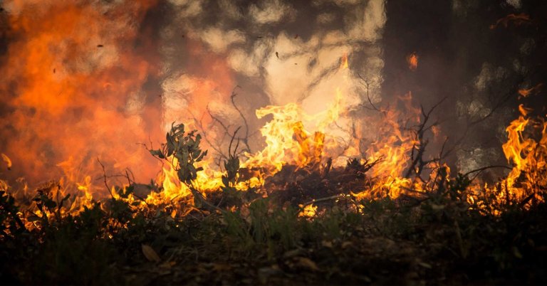 Tesla developed bioweapon defense mode to help drivers in the event of an attack, but it's also helping them breathe during California's wildfires.
