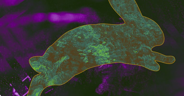 Researchers have modified a common houseplant with a bit of rabbit DNA to improve its ability to remove toxins from the air.