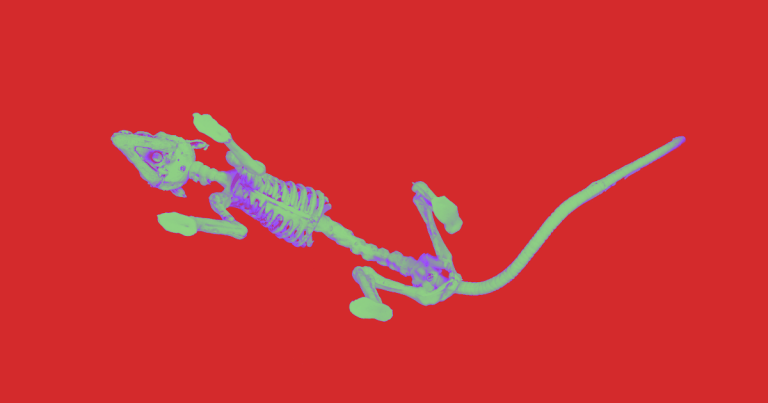 3D Printed Implants and Stem Cells Helped Paralyzed Rats Walk Again