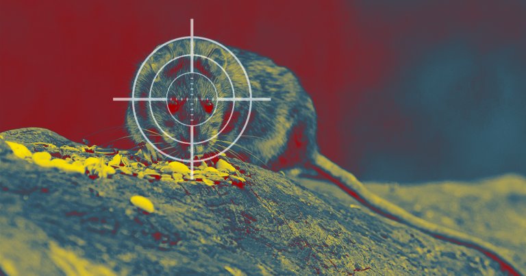 Autonomous Drones Are Dropping Rat Poison Bombs on This Island