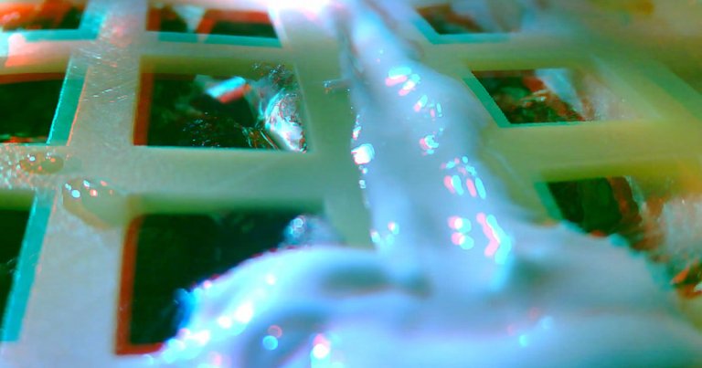 China’s Lander Just Sprouted First-Ever Plants on the Moon