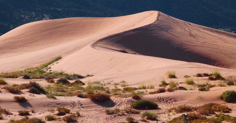 New research shines a light on the importance of soil moisture in plants' ability to trap CO2 — and extreme weather events could hinder that ability.