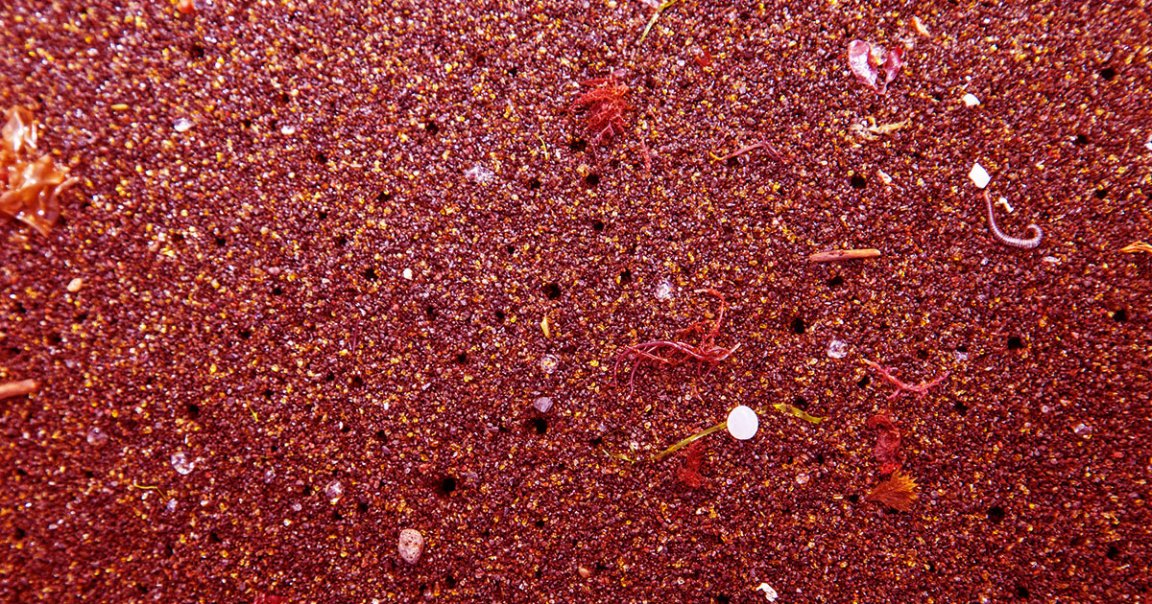 The EU is considering a microplastics ban that would prevent 40,000 tons of the tiny particles from entering the environment every year.