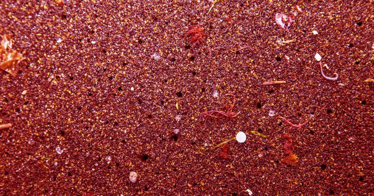 The EU is considering a microplastics ban that would prevent 40,000 tons of the tiny particles from entering the environment every year.