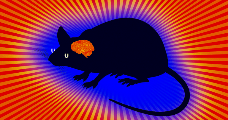 Clearing Old Cells from Mouse Brains Lowered Signs of Anxiety