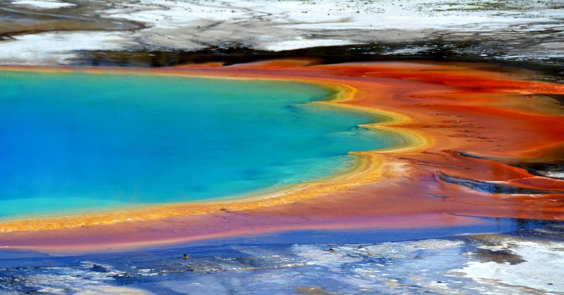 A newly launched startup has entered the alt-meat market with a highly versatile protein inspired by the microbes in volcanic hot springs.