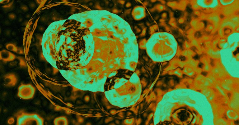 A new anti-aging drug combination just completed its first trial in humans, and the volunteers showed signs of improved well being.