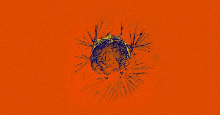 Researchers have discovered what they're calling the cancer "cell of origin," a type of stem cell that leads to the growth of all cancers.