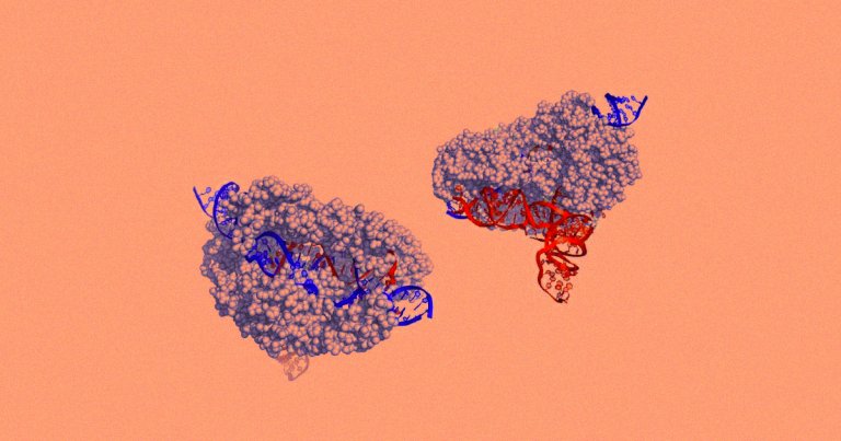 A team from UC Berkeley has discovered that CasX could be a better CRISPR protein for human gene-editing than the commonly researched Cas9.