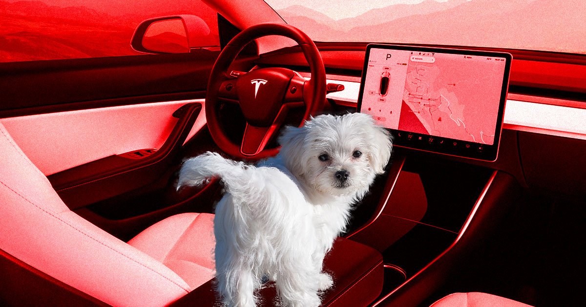 Tesla's New 