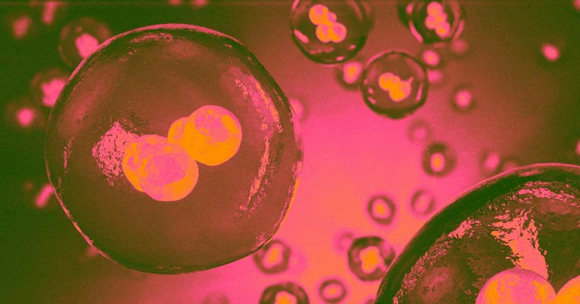 A U.S. biologist is gene-editing human embryos, but unlike Chinese research He Jiankui, this scientist isn't trying to create any designer babies.