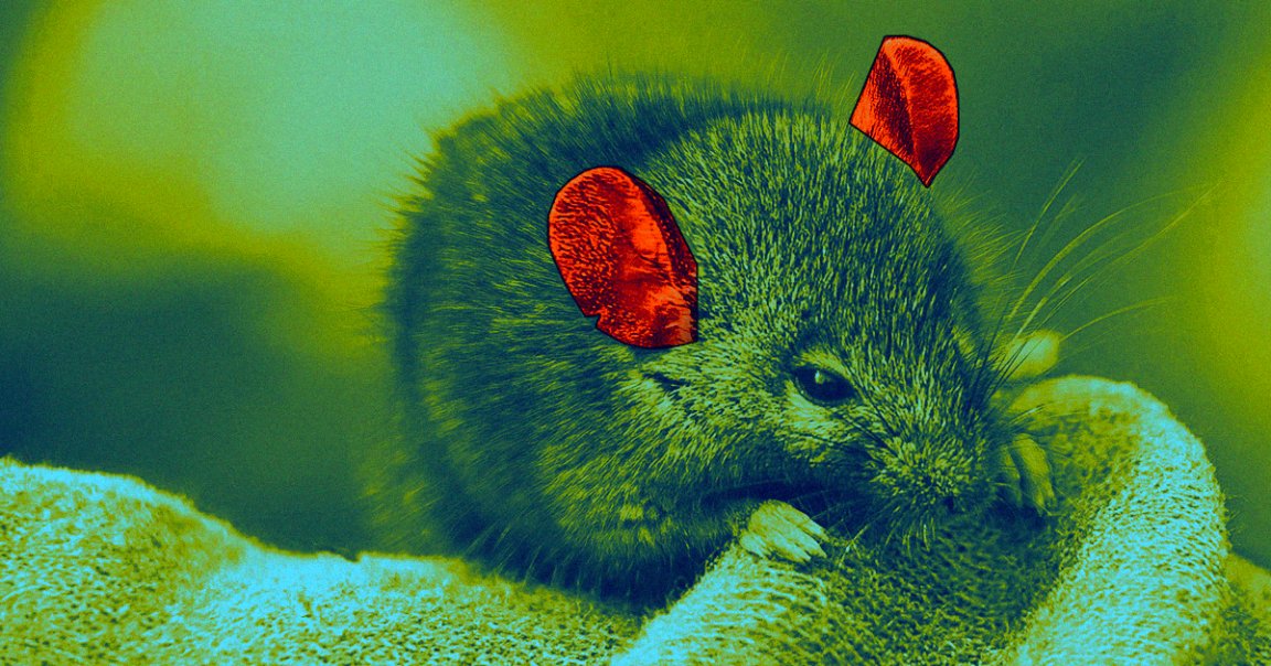 A new gene therapy tested on mice can treat a specific kind of congenital deafness by repairing a faulty inner-ear protein.
