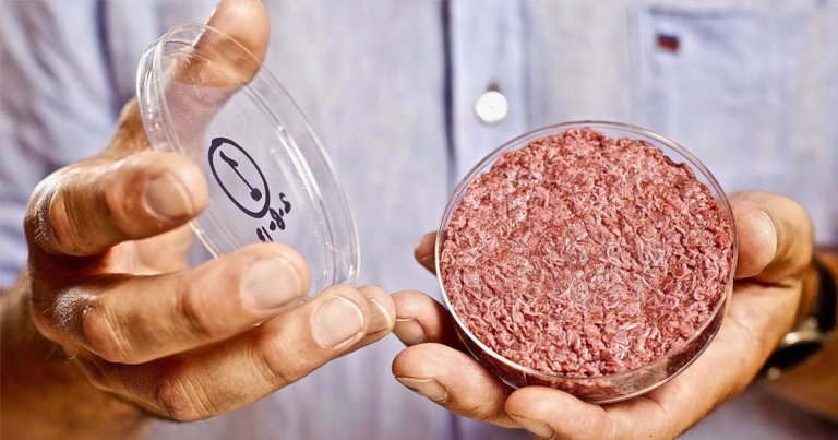 The benefits of lab-grown meat will depend on scientists' ability to produce it sustainably, and right now, we don't know if that's even possible.
