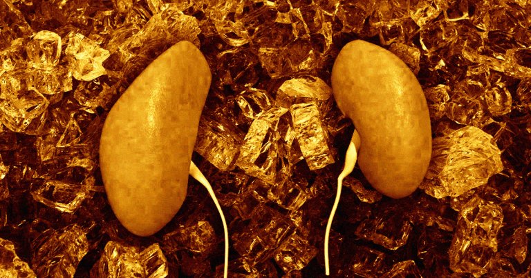 A newly published analysis of 445 Chinese transplant studies reveals a startling lack of information on the source of the organs.