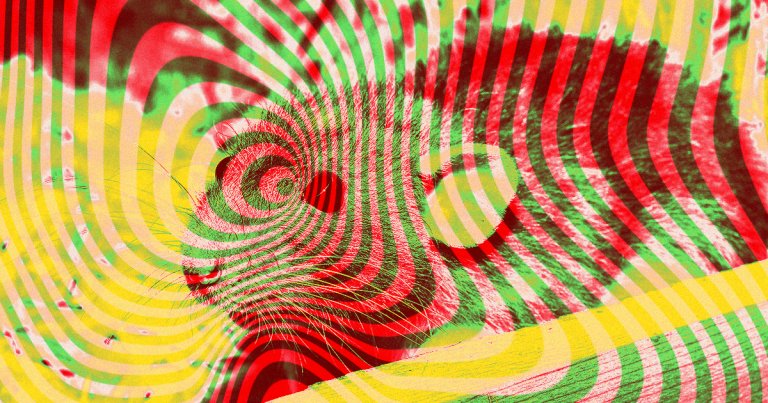 Using only their thoughts, humans were able to control the movements of rat cyborgs created by a team of Chinese researchers.