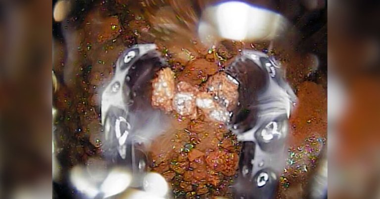 A robot just physically examined the radioactive fuel at the damaged Fukushima Nuclear Reactor. It's the first step toward an ongoing cleanup mission.