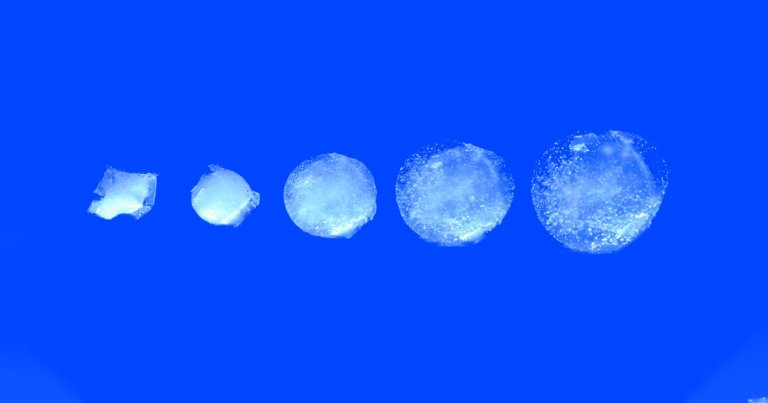 Researchers from MIT have created a smart pill that expands in the stomach — and they have no shortage of ideas for how it could improve human health.
