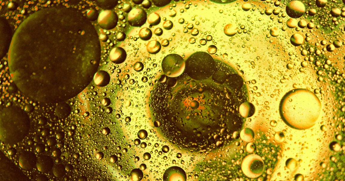 A new study suggests that THC, the cannabis compound associated with feeling "high," has more therapeutic benefits than previously believed.