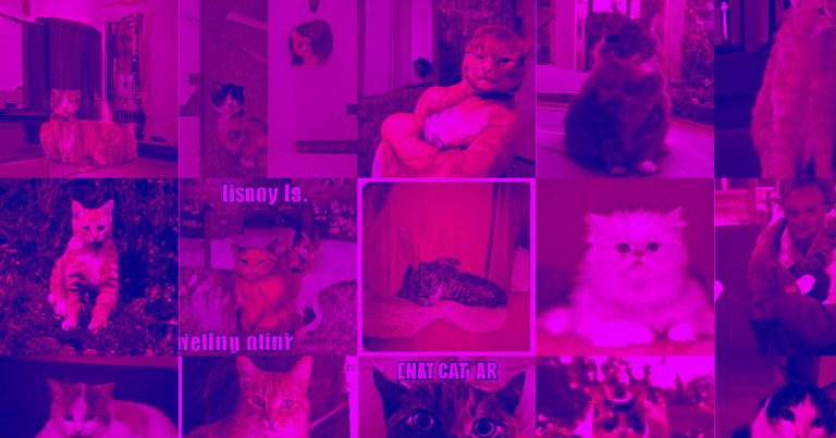 A New AI Draws Cats, and They’re Utterly Grotesque