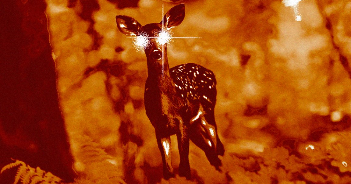 "Zombie deer disease" is spreading amongst animal populations, and experts are concerned it could make the leap to humans.