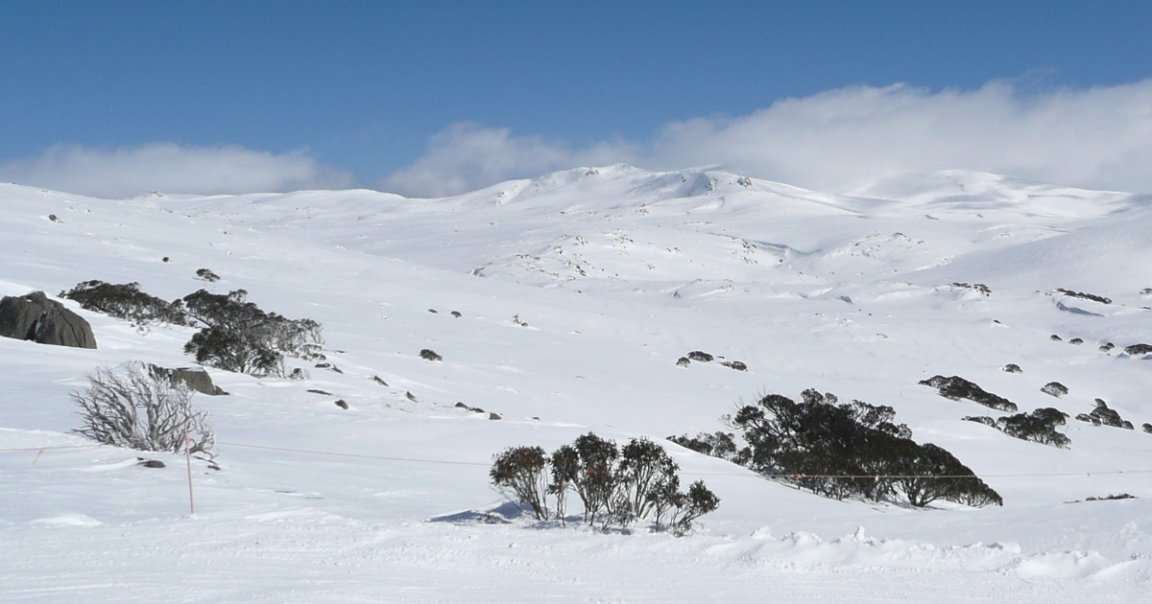 Researchers predict winter won't exist in Australia by 2050. Instead, Australians will experience three seasons: autumn, spring, and "new summer."