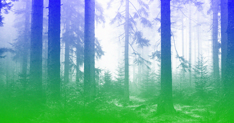 A Call to Action on the First Day of Spring to Help Our Planet