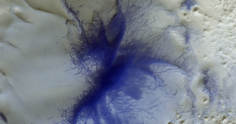 See the Most Breathtaking Views of the Martian Surface Yet