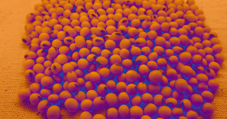 A food service company in the Midwestern region of the United States is now serving a gene-edited food in its restaurants.
