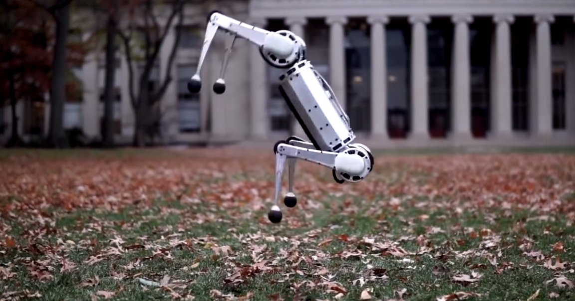 MIT's mini cheetah robot is the first four-legged bot to execute a perfect backflip — and watching it learn that skill is incredible entertaining.