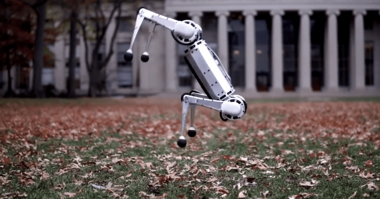 MIT's mini cheetah robot is the first four-legged bot to execute a perfect backflip — and watching it learn that skill is incredible entertaining.