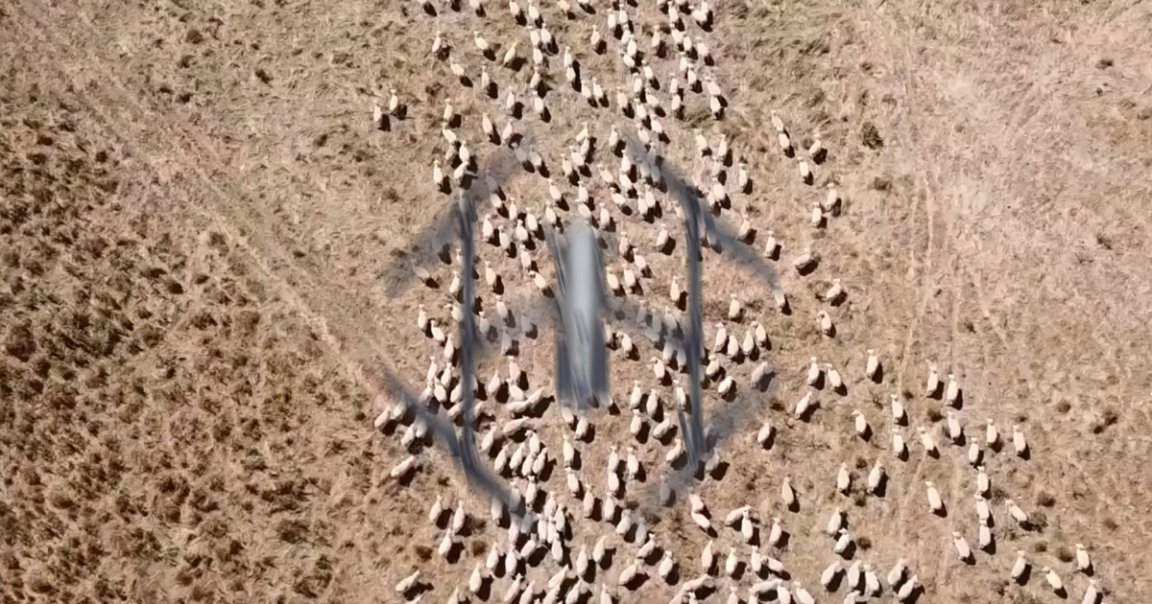 Farmers in New Zealand have a new tool to herd sheep and cows, according to Radio New Zealand: drones outfitted with speakers so they can bark like dogs.