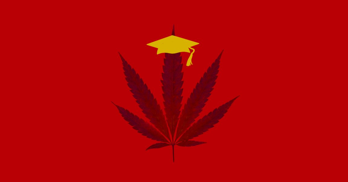 Students at colleges across the U.S. can now study marijuana, a sign that universities have taken notice of the booming cannabis industry.