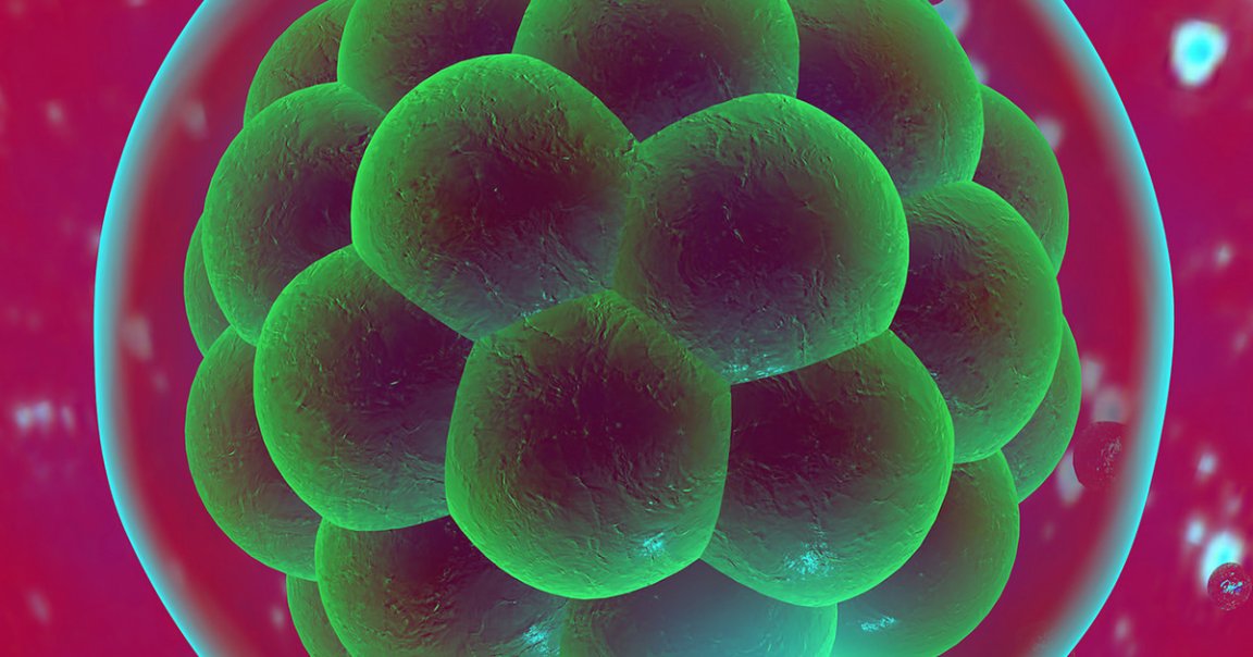 The World Health Organization called for a public registry for all human gene-editing research to prevent any more debacles like that caused by He Jiankui