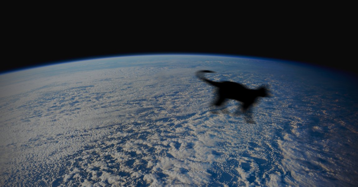 A cat named Pikachu, who died and was cremated in January, will be the first cat to have its ashes launched out into space.