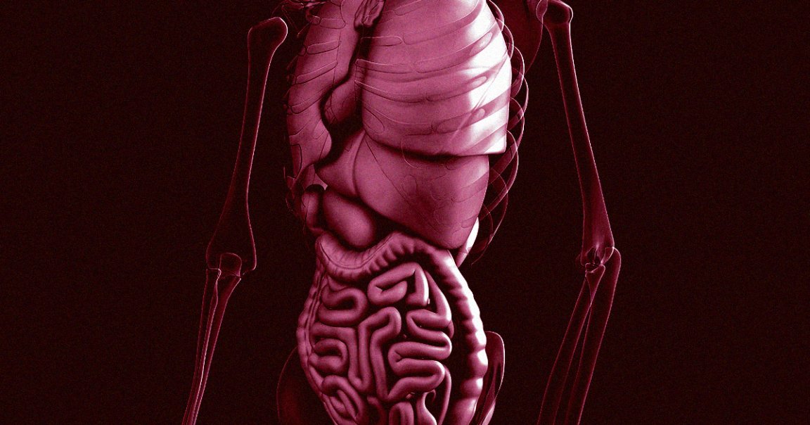 A new study shows that fecal transplants of healthy gut flora can help reduce the more severe symptoms of Autism Spectrum Disorder.