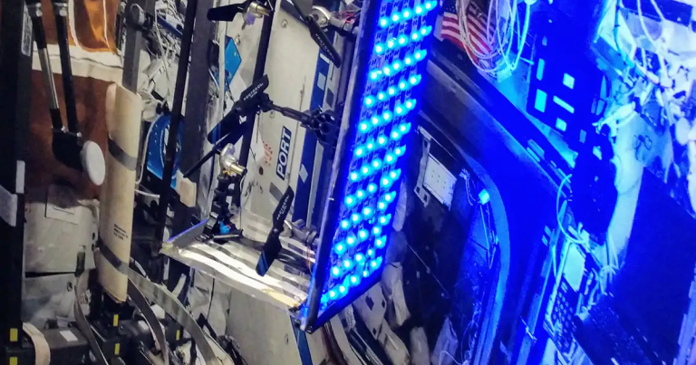 GermFalcon, a company specializing in airplane sanitizing tech, developed a kind of space Roomba that can blast sterilising UV rays at the walls of the ISS.