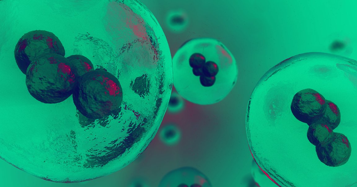 Scientists may have uncovered a way to reverse the developmental disorder Angelman syndrome, but the treatment would involve gene-hacking fetal brains.