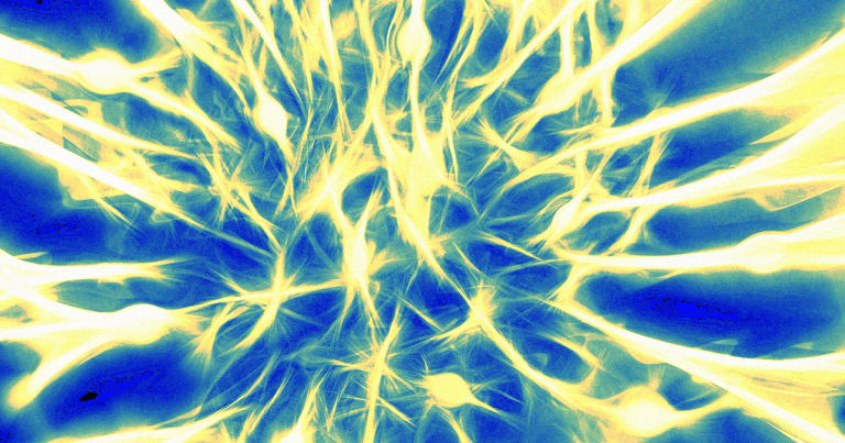 Scientists say they've devised antibodies that block a specific gene related to brain aging — causing old mice to regain lost cognitive abilities.