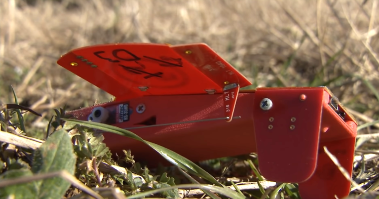 NASA recently tested a new drone swarm, where "Hives" release "Cicadas" to monitor the weather and atmospheric conditions.