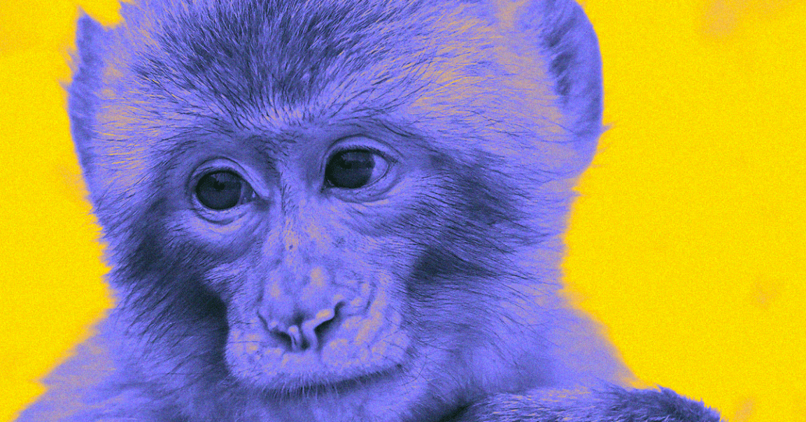 One of the scientists behind an experiment that gave monkeys human DNA, thereby making them smarter, has defended the controversial study to CNN.