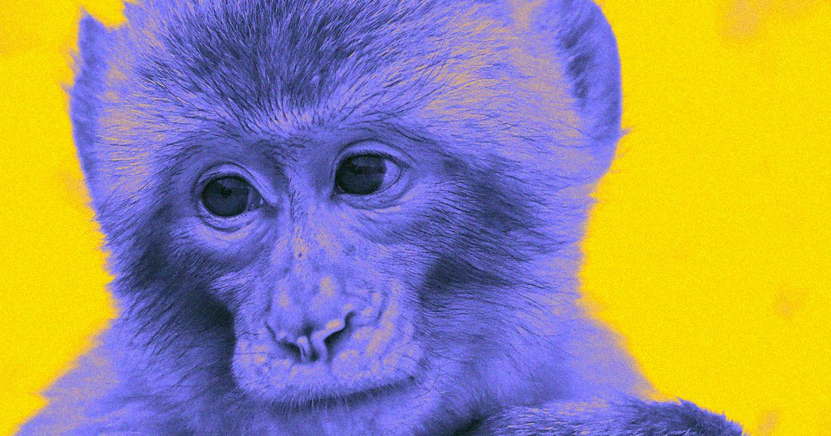 Chinese Scientist Defends Splicing Human Brain Gene Into Monkeys