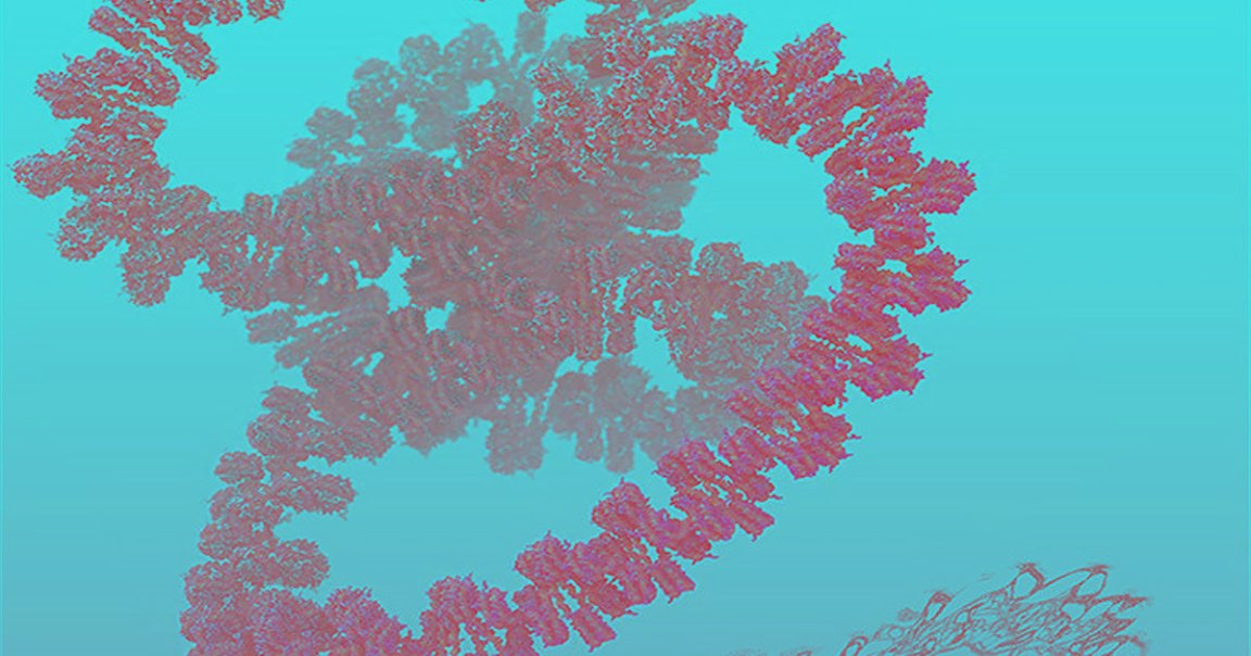 Using a powerful supercomputer, scientists simulated every single one of the billion atoms found in a human gene. It may help them crack genetic disease.