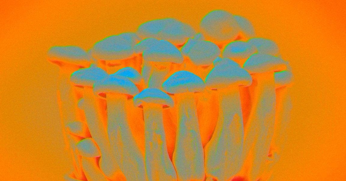 A UK college has launched the Imperial Centre for Psychedelic Research — the world's first formal center for research into psychedelics.