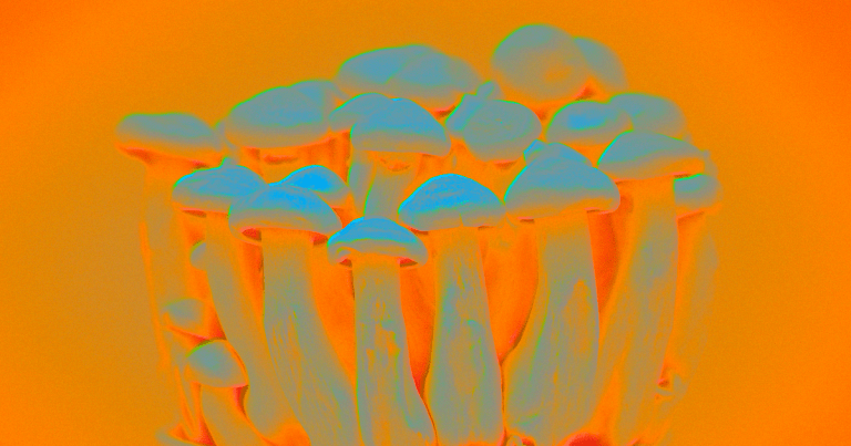 A UK college has launched the Imperial Centre for Psychedelic Research — the world's first formal center for research into psychedelics.