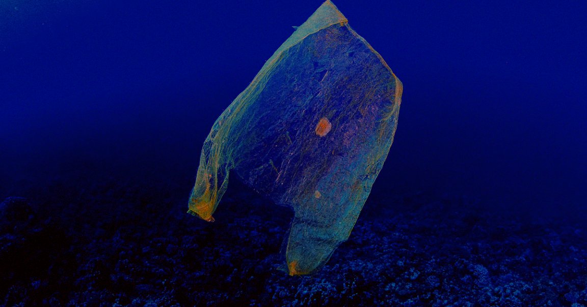 When Victor Vescovo broke the record for deepest ocean dive, he noticed what he believes was a plastic bag and some candy wrappers in the deep sea.
