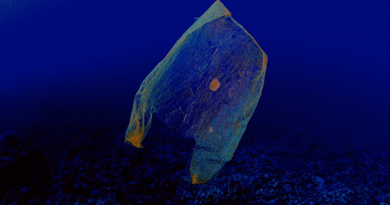 When Victor Vescovo broke the record for deepest ocean dive, he noticed what he believes was a plastic bag and some candy wrappers in the deep sea.